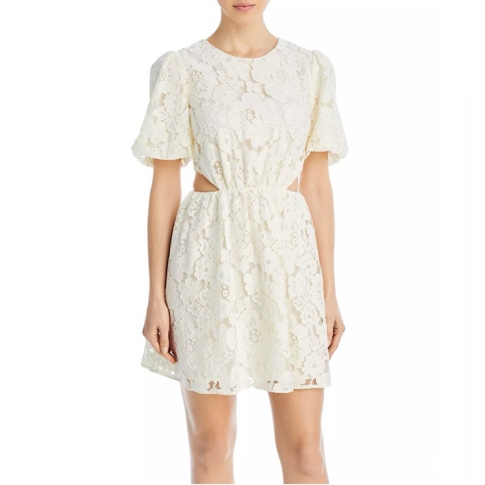 NWT - WAYF Lace Cutout Mini Dress - Size Large